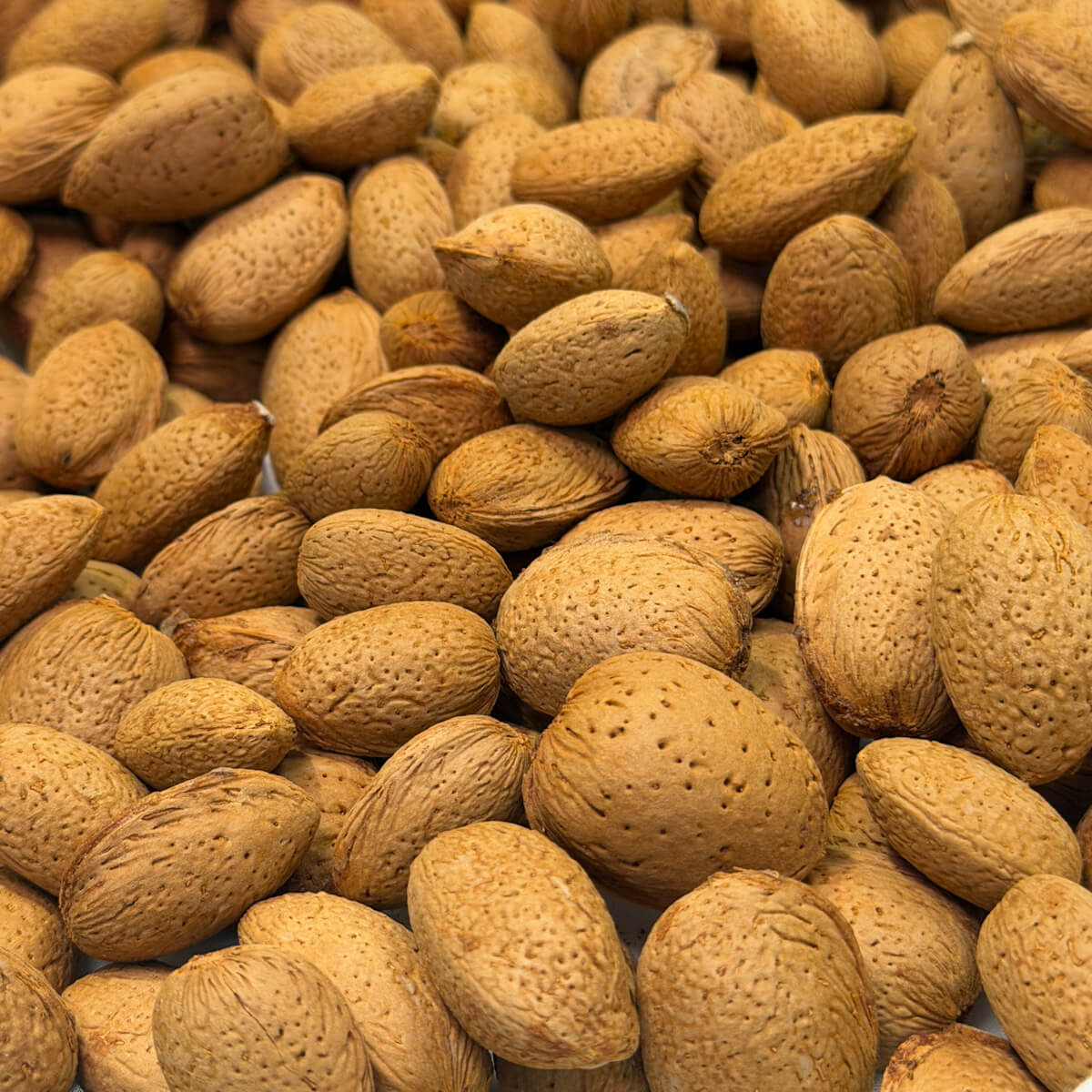 ACEITE CORPORAL MEDITERRÁNEO 15 ALMENDRA ACEITE CORPORAL NATURAL MEDITERRANEO