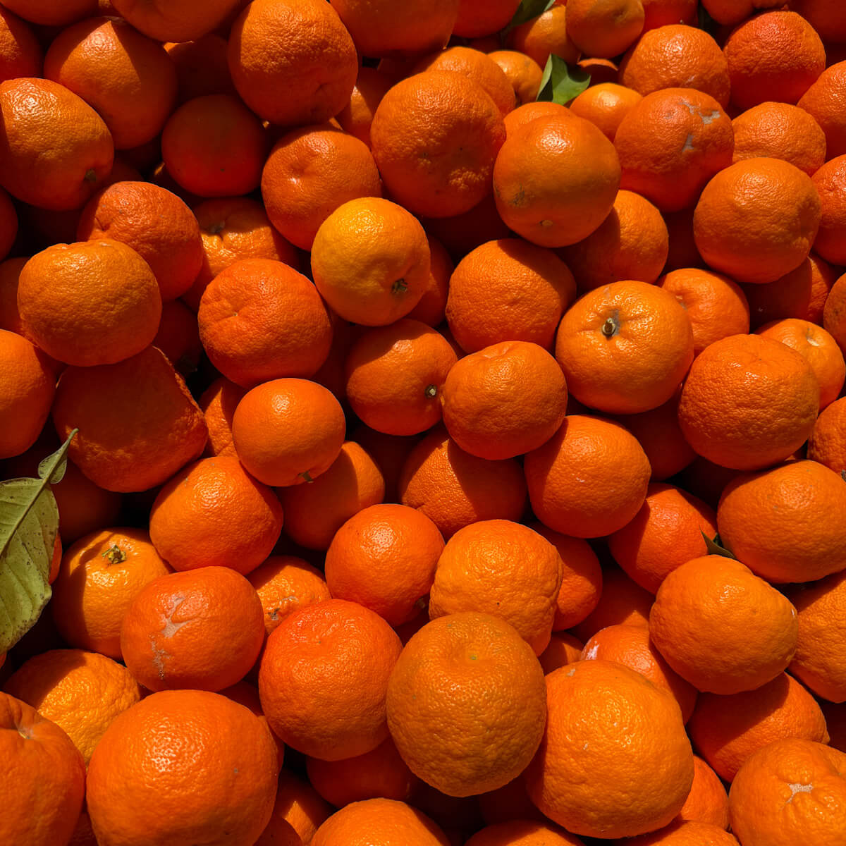 ACEITE CORPORAL MEDITERRÁNEO 16 Aceite corporal natural mediterráneo con aceite esencial de naranja